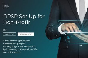 NPSP SET UP FOR NON-PROFIT