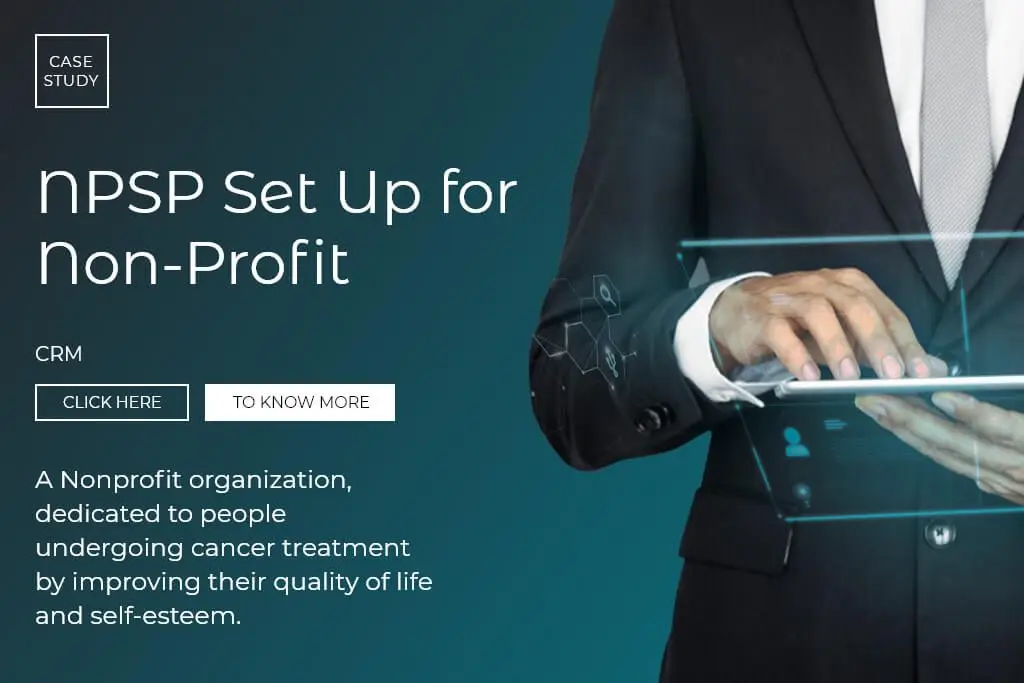 npsp setup for non profit case study